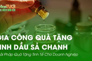 Gia Công Quà Tặng Tinh Dầu Sả Chanh – Giải Pháp Quà Tặng Tinh Tế Cho Doanh Nghiệp