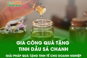 Gia Công Quà Tặng Tinh Dầu Sả Chanh – Giải Pháp Quà Tặng Tinh Tế Cho Doanh Nghiệp