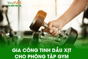 Dịch Vụ Gia Công Tinh Dầu Xịt Cho Phòng Tập Gym