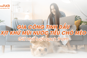 Gia Công Tinh Dầu Xịt Khử Mùi Nước Tiểu Chó Mèo – Giữ Nhà Luôn Sạch Thơm