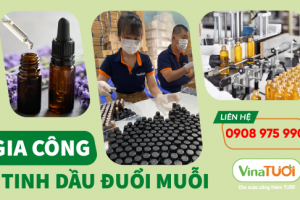 Gia công Tinh Dầu Đuổi Muỗi: Giải Pháp Hoàn Hảo Cho Mùa Hè