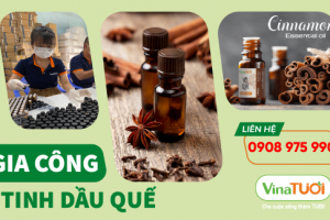 Gia công tinh dầu quế - Giải pháp hoàn hảo cho doanh nghiệp của bạn