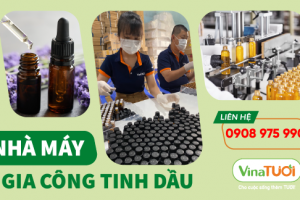 Vina Tươi - Nhà máy Gia công Tinh Dầu: Đối tác tin cậy cho doanh nghiệp của bạn