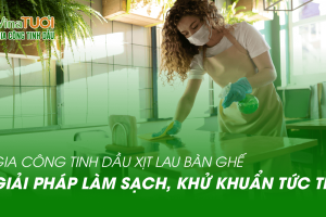 Gia Công Tinh Dầu Xịt Lau Bàn Ghế: Giải Pháp Làm Sạch & Khử Khuẩn Tức Thì, Đột Phá Cho Doanh Nghiệp Của Bạn