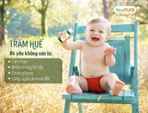 Khởi nghiệp thành công với sản phẩm tinh dầu tràm Huế