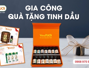 Gia công quà tặng tinh dầu thiên nhiên - món quà hương thơm ý nghĩa