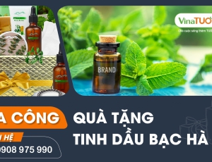 Gia công tinh dầu quà tặng bạc hà – món quà đặc biệt và ấn tượng