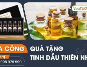 Ý nghĩa của set quà tặng tinh dầu