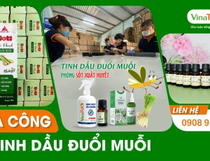 Không muỗi, không phiền toái - gia công tinh dầu đuổi muỗi