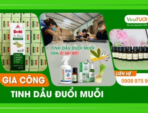 Gia công tinh dầu đuổi muỗi có hương nào?