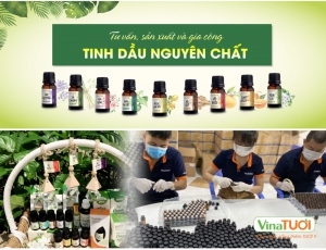 Gia công tinh dầu giá sỉ