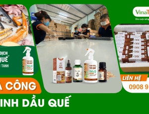 Khám phá tinh dầu vỏ quế - gia công độc quyền tạo ấn tượng riêng