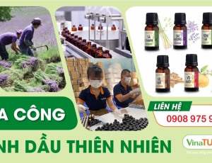 Tinh dầu độc Đáo, gia công chuyên nghiệp: Tạo Nên Thương Hiệu Của Bạn