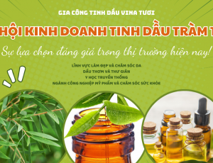 Cơ hội kinh doanh tinh dầu tràm trà - sự lựa chọn đáng giá trong thị trường hiện nay