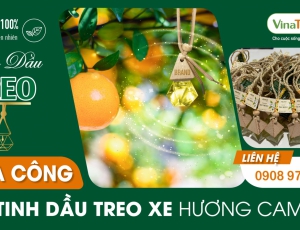 Tinh dầu treo cam ngọt chất lượng cao từ đơn vị gia công Vina Tươi