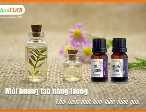 Xu hướng của thị trường kinh doanh tinh dầu - P1