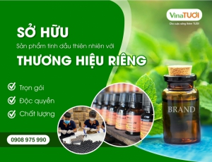 Kinh doanh TMĐT, sở hữu thương hiệu riêng quan trọng đến mức nào?