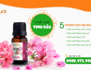 Top 5 phương pháp gia công chiết xuất tinh dầu