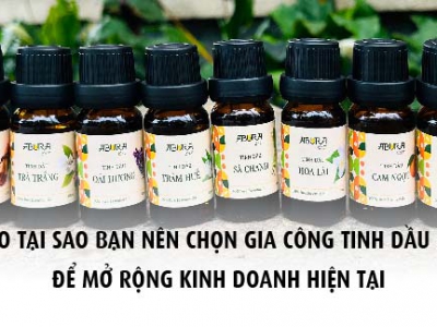 5 Lý Do Tại Sao Bạn Nên Chọn Gia Công Tinh Dầu Giá Sỉ Để Mở Rộng Kinh Doanh Hiện Tại