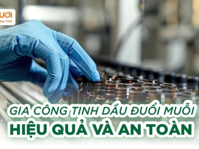 Gia Công Tinh Dầu Đuổi Muỗi Từ Thiên Nhiên – Hiệu Quả Và An Toàn