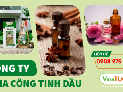 Bạn có ý tưởng về một loại tinh dầu độc đáo? Công ty Gia Công Tinh Dầu Vina Tươi sẽ biến nó thành hiện thực!