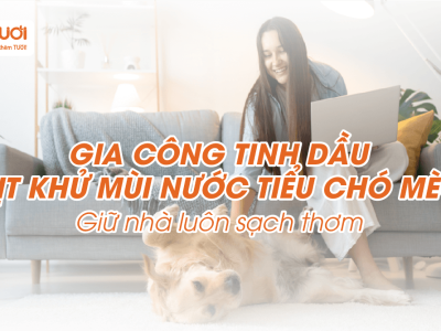 Gia Công Tinh Dầu Xịt Khử Mùi Nước Tiểu Chó Mèo – Giữ Nhà Luôn Sạch Thơm