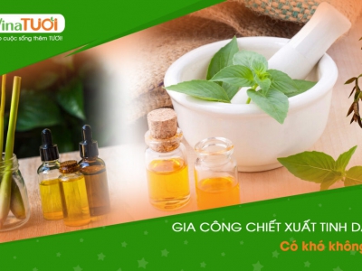 Gia công chiết xuất tinh dầu