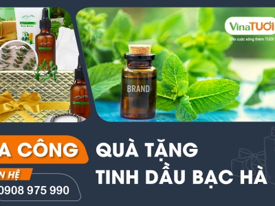 Gia công tinh dầu quà tặng bạc hà – món quà đặc biệt và ấn tượng