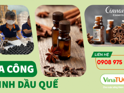 Gia công tinh dầu quế - Giải pháp hoàn hảo cho doanh nghiệp của bạn