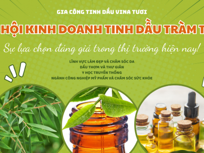 Cơ hội kinh doanh tinh dầu tràm trà - sự lựa chọn đáng giá trong thị trường hiện nay