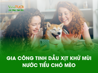 Gia Công Tinh Dầu Xịt Khử Mùi Nước Tiểu Chó Mèo – Giữ Nhà Luôn Sạch Thơm