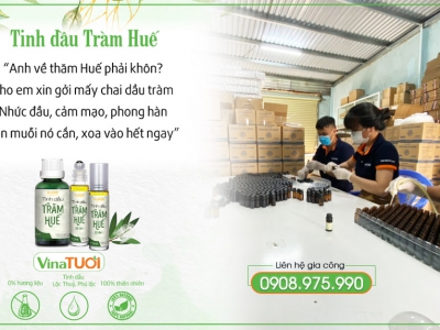 Nhu cầu và các phương thức gia công tinh dầu tràm