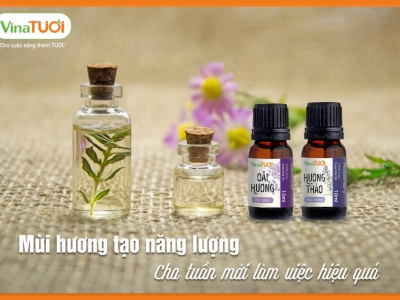 Xu hướng của thị trường kinh doanh tinh dầu - P1