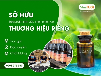 Kinh doanh TMĐT, sở hữu thương hiệu riêng quan trọng đến mức nào?