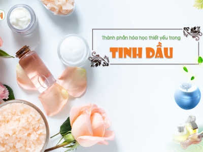 Thành phần hóa học thiết yếu trong tinh dầu