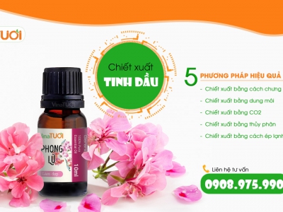 Top 5 phương pháp gia công chiết xuất tinh dầu