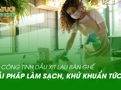 Gia Công Tinh Dầu Xịt Lau Bàn Ghế: Giải Pháp Làm Sạch & Khử Khuẩn Tức Thì, Đột Phá Cho Doanh Nghiệp Của Bạn