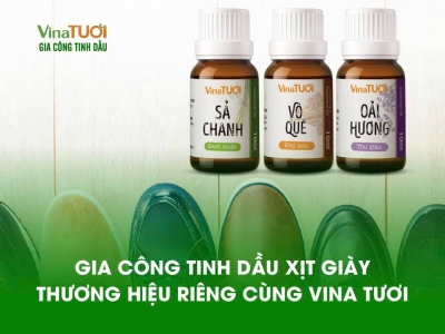 Gia Công Tinh Dầu Xịt Giày Thương Hiệu Riêng Cùng Vina Tươi: Nâng Tầm Đẳng Cấp Cho Sản Phẩm Của Bạn