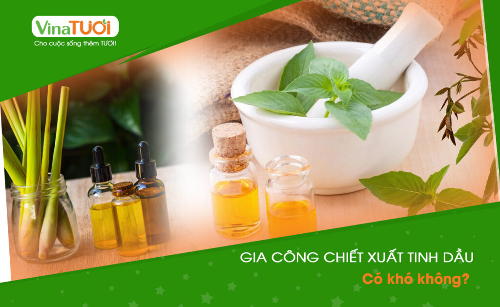 Gia công chiết xuất tinh dầu