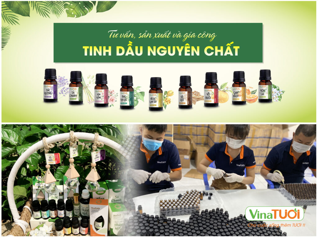 Gia công tinh dầu giá sỉ