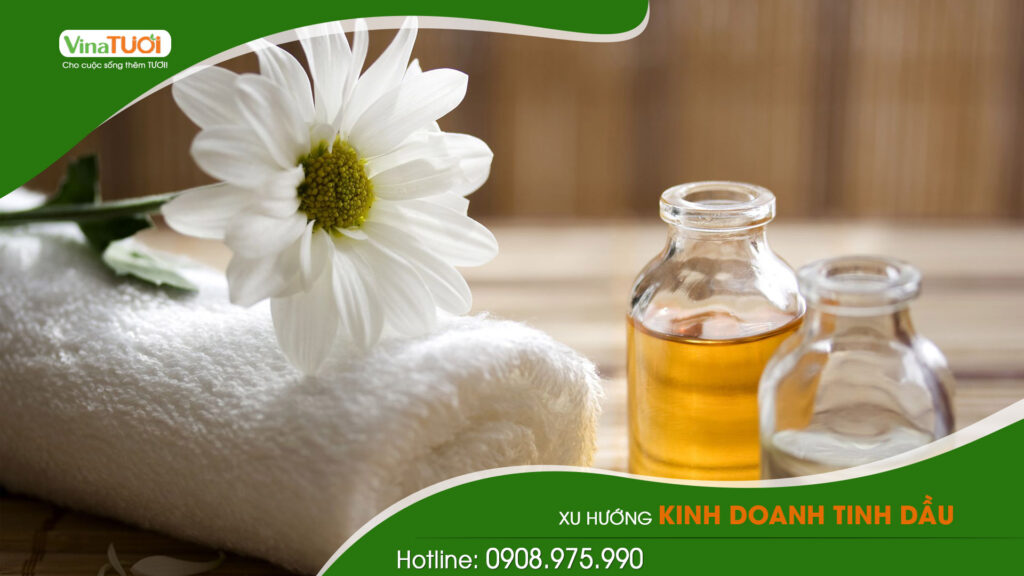 Xu hướng kinh doanh tinh dầu