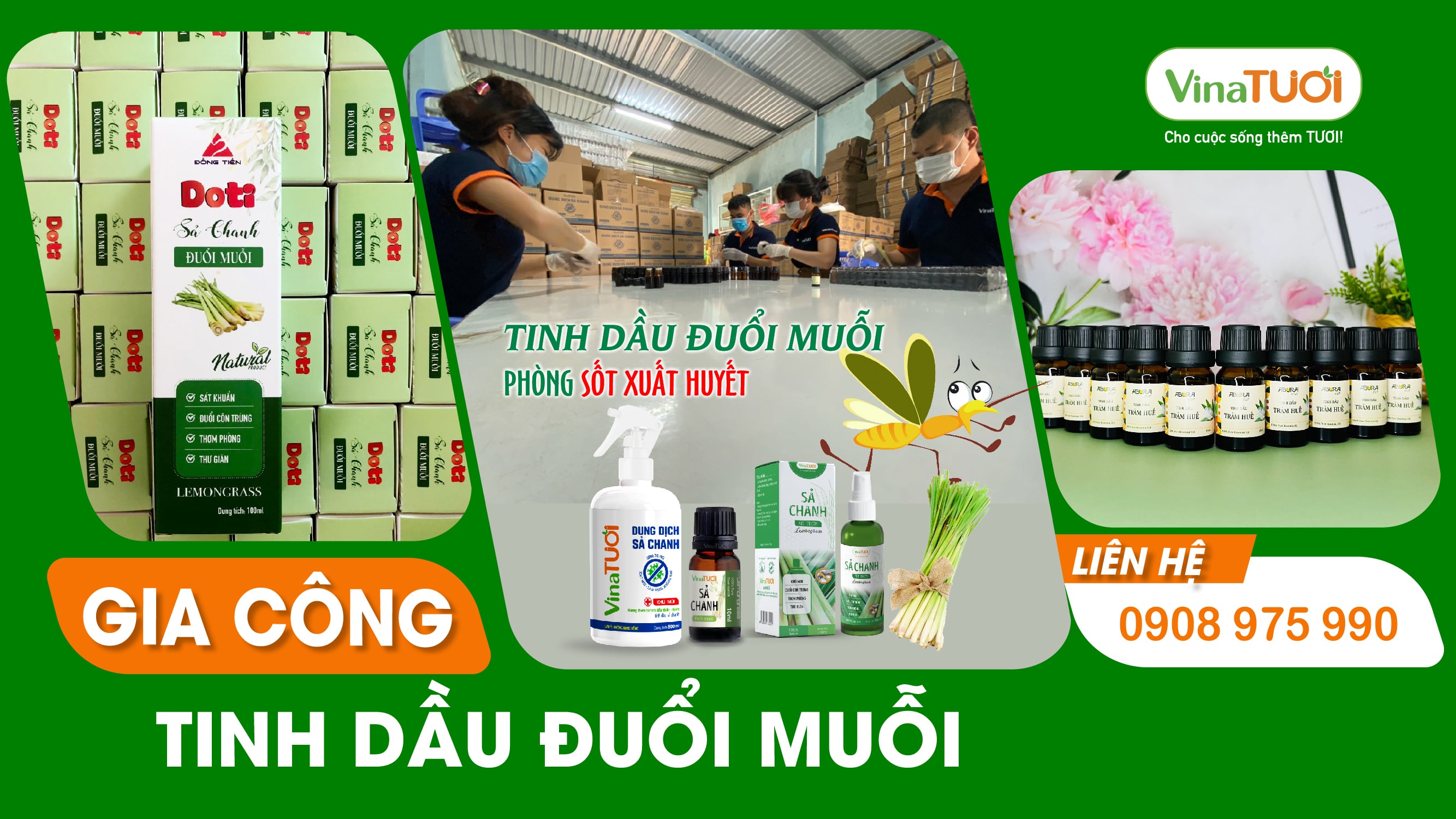 Gia công tinh dầu đuổi muỗi