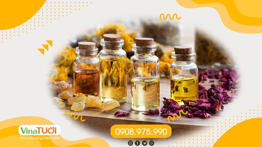 4 cái không khi kinh doanh tinh dầu