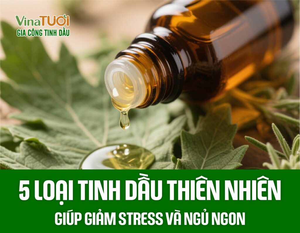 5 loại tinh dầu thiên nhiên