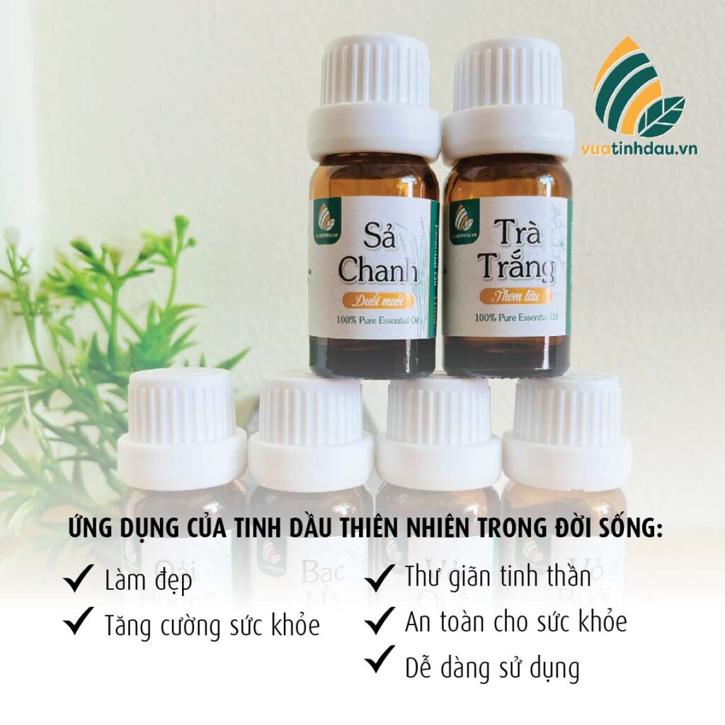 5 Lý do tại sao bạn nên chọn gia công tinh dầu giá sỉ