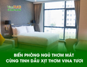 BIẾN PHONG NGỦ THƠM MÁT CÙNG TINH DẦU VINA TƯƠI