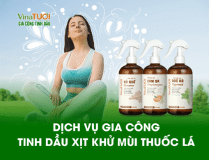 Dịch Vụ Gia Công Tinh Dầu Xịt Khử Mùi Thuốc Lá