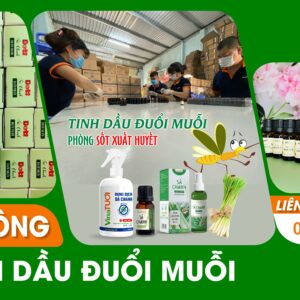 Gia công tinh dầu đuổi muỗi