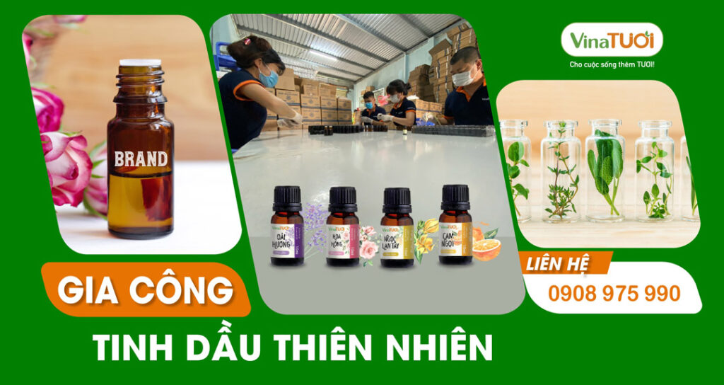 Dịch vụ gia công tinh dầu thiên nhiên