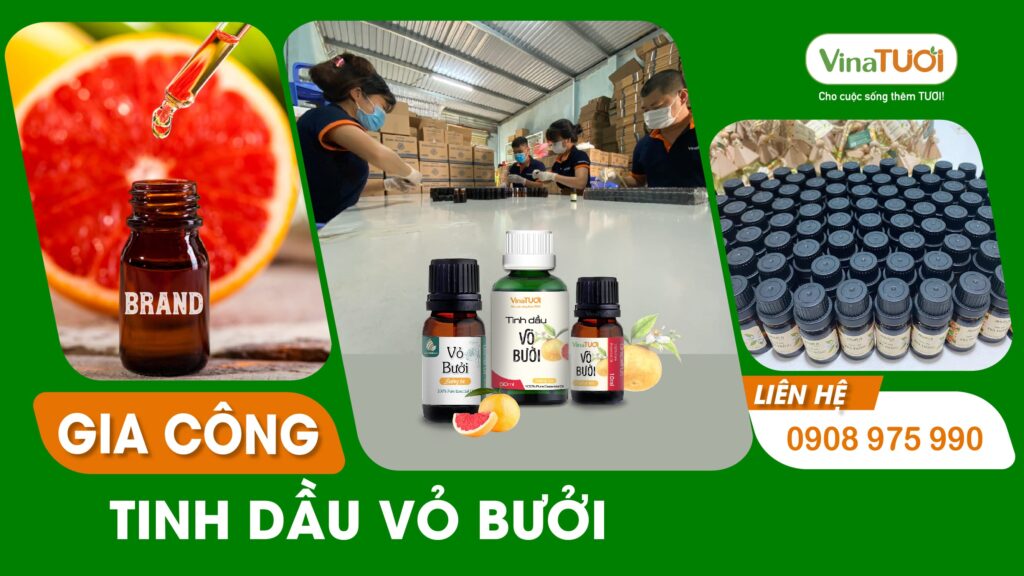 Gia công tinh dầu vỏ bưởi